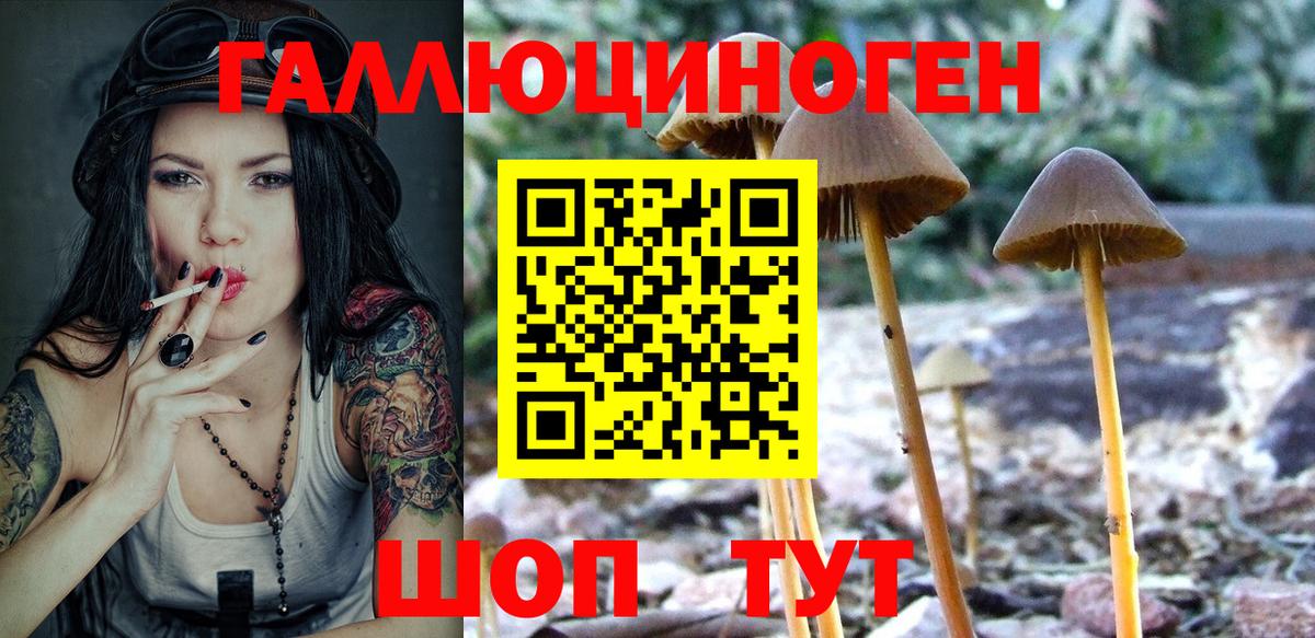Галлюциногенные грибы Cubensis  Вход с VPN  Дубна 