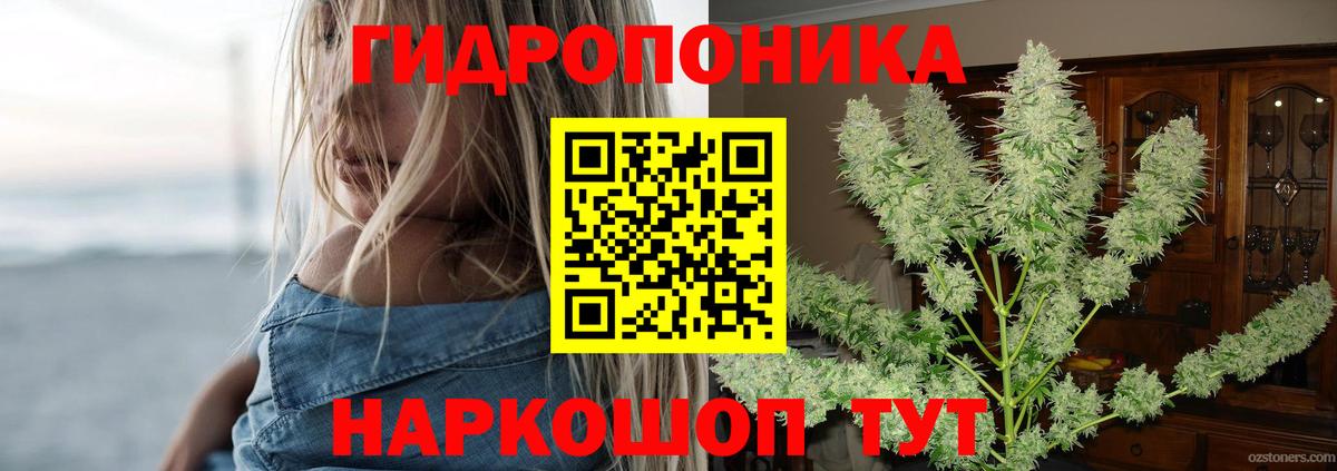 Бошки Шишки тримм Дубна